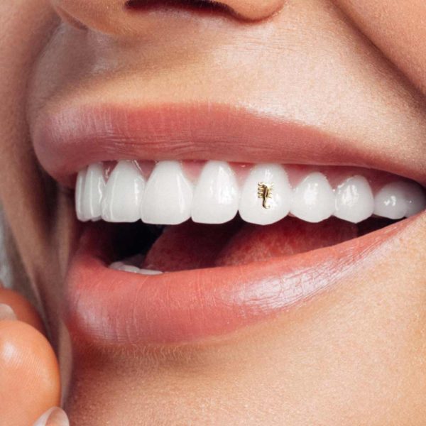 135 Scorpion tooth gem twinkles dental